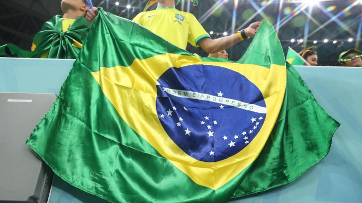 Brazil football fan holding a flag